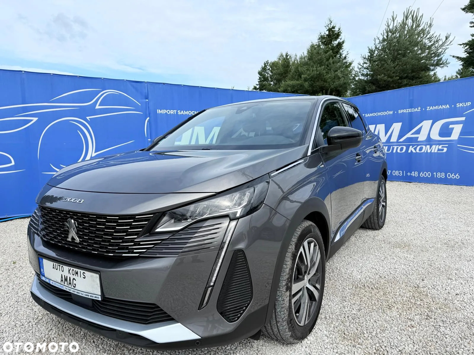 Peugeot 3008 1.6 PureTech Hybrid PHEV Allure S&S EAT8 - 2