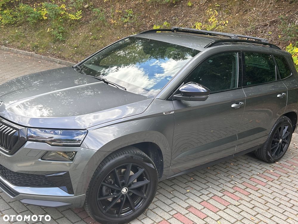 Skoda Karoq - 13