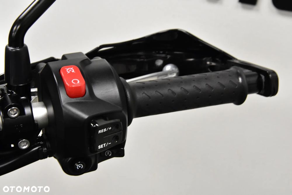 Triumph Tiger - 19