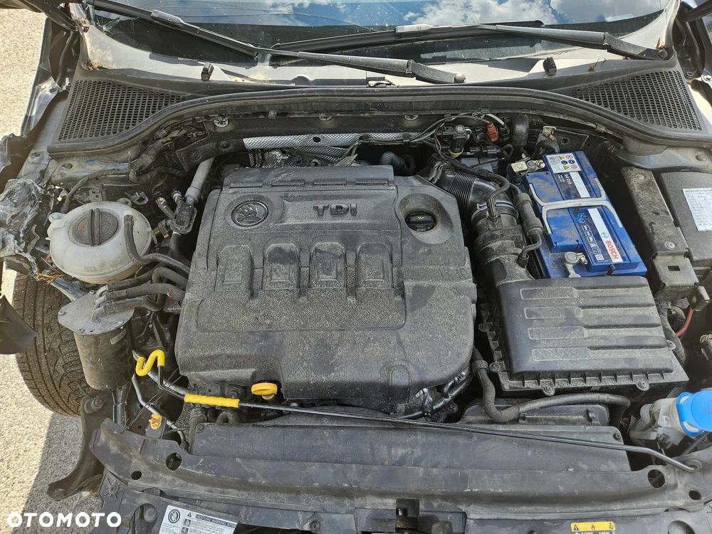 Skoda Octavia 2.0 TDI Green tec 4x4 Edition - 17
