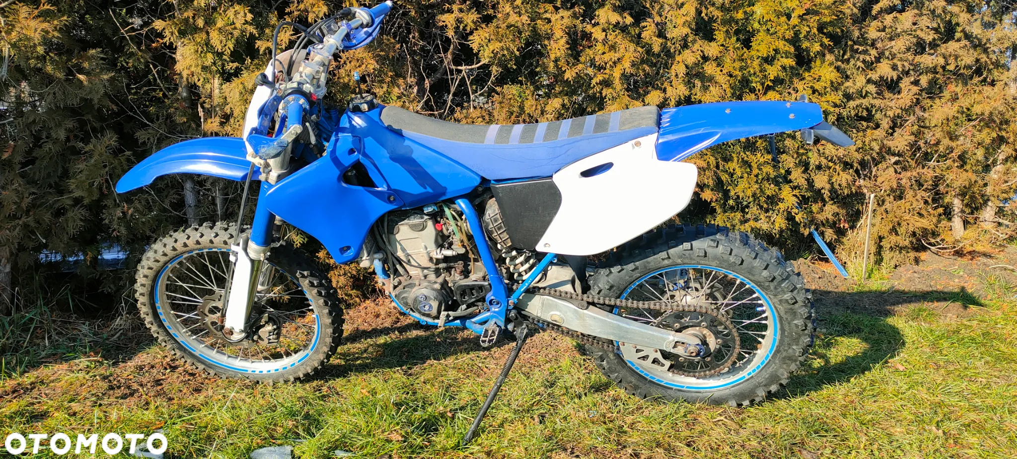 Yamaha WR - 11