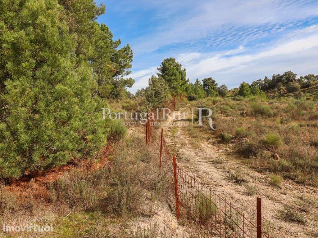 Quinta de 4,18 ha confinante com a ribeira na Orca, Fundão - Grande imagem: 4/47