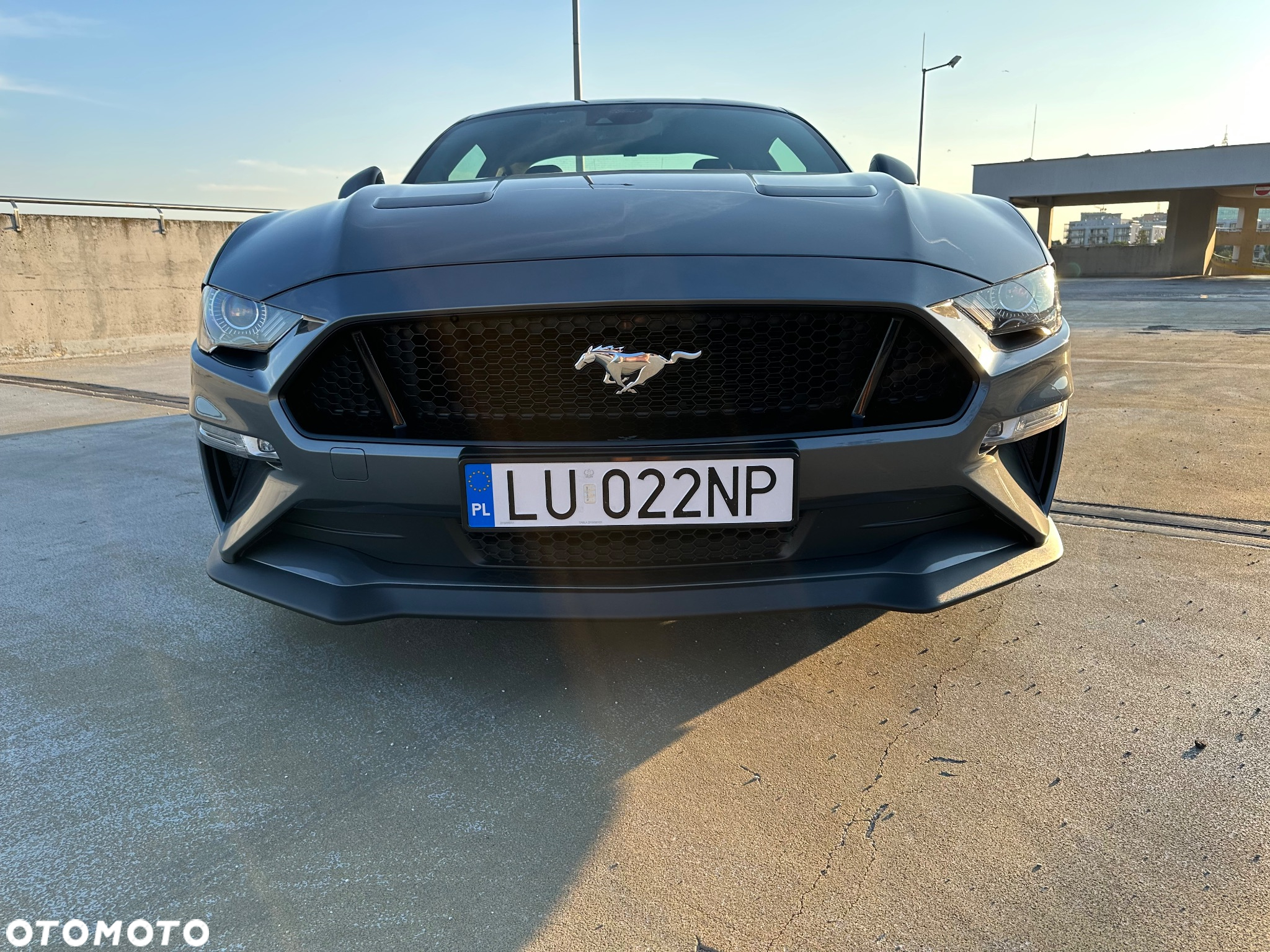 Ford Mustang 5.0 V8 GT - 29