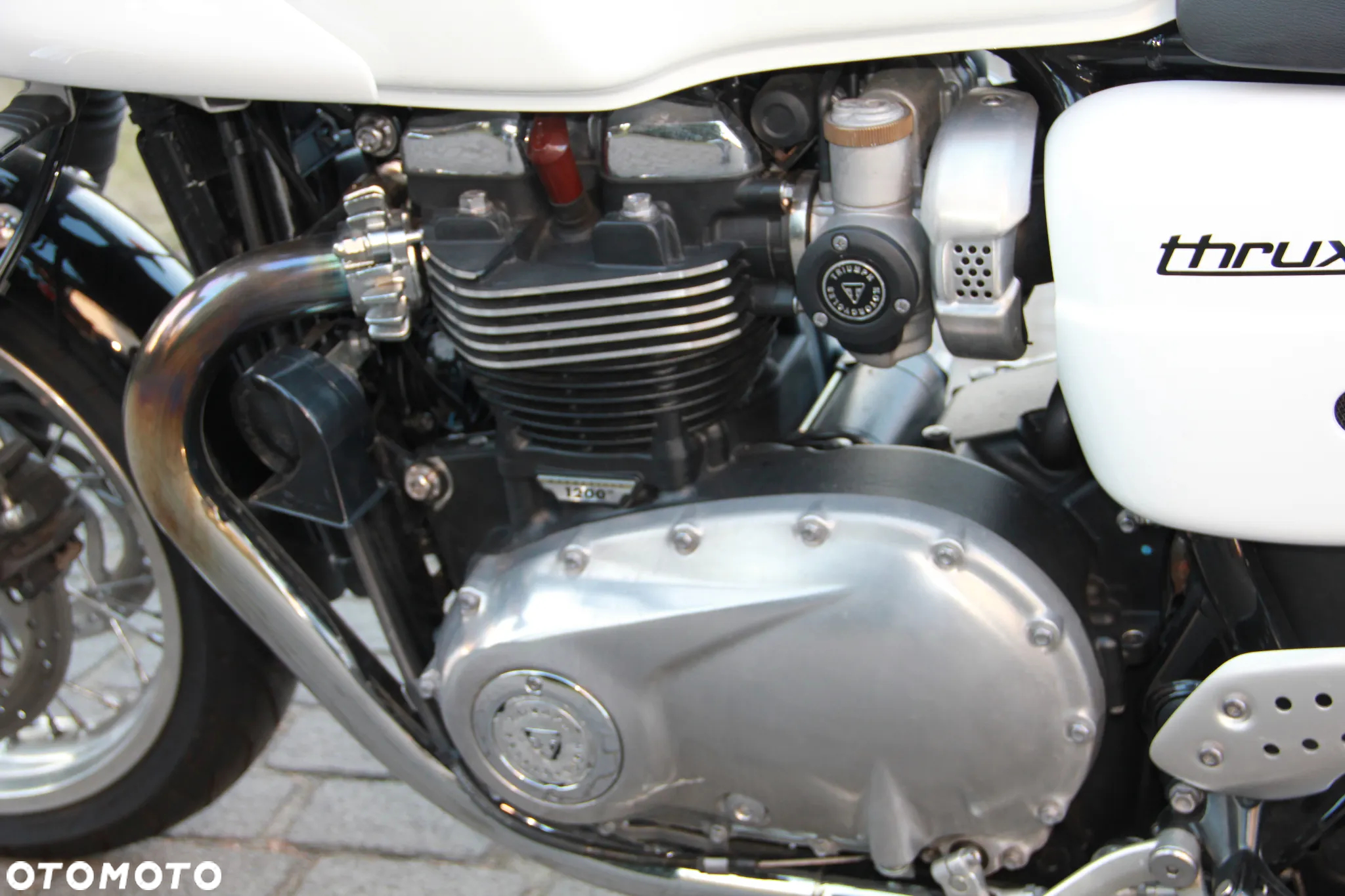 Triumph Thruxton - 7