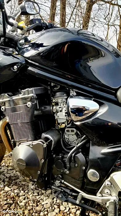 Suzuki Bandit - 3