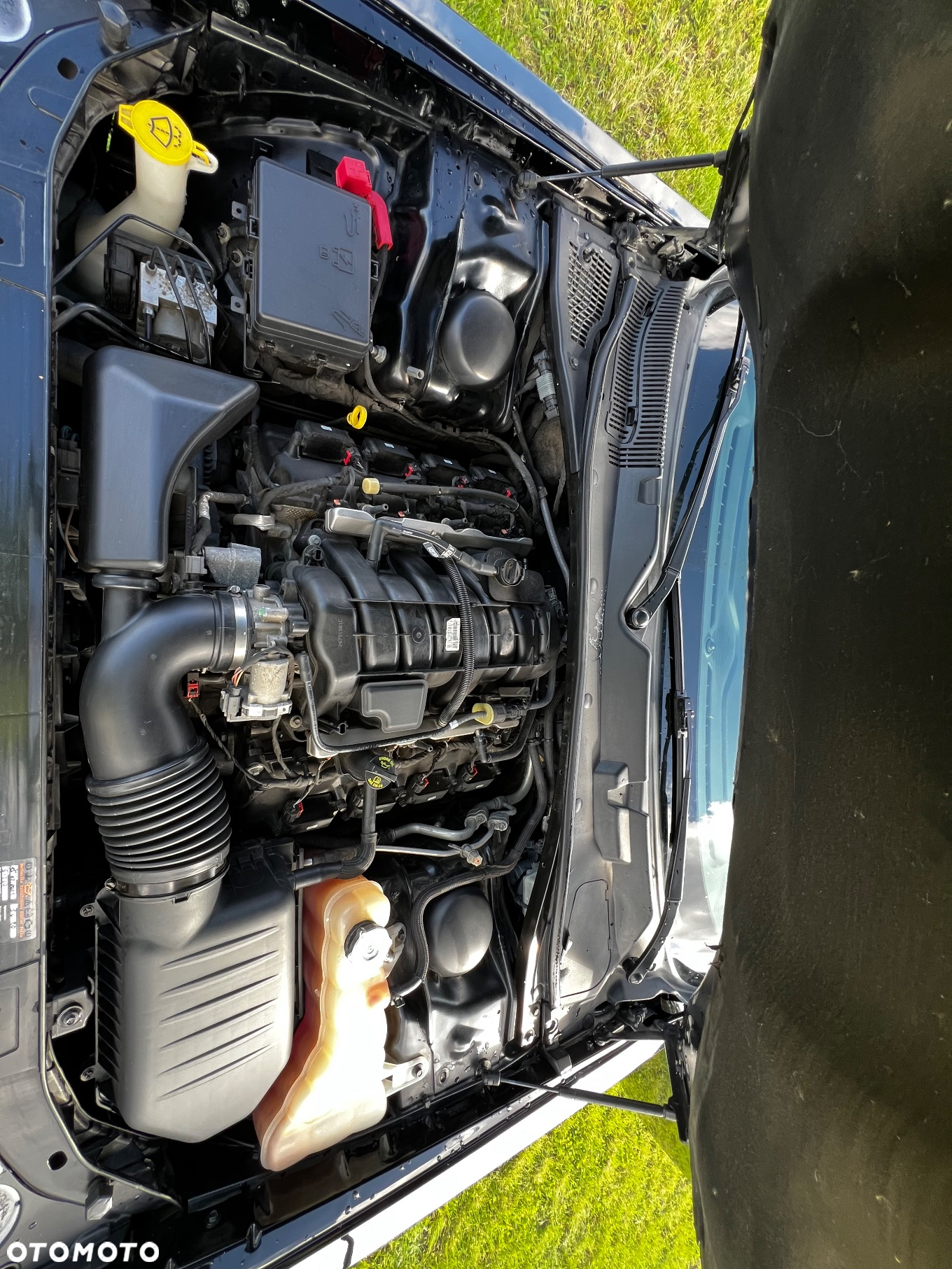 Dodge Challenger Automatik R/T Plus - 10