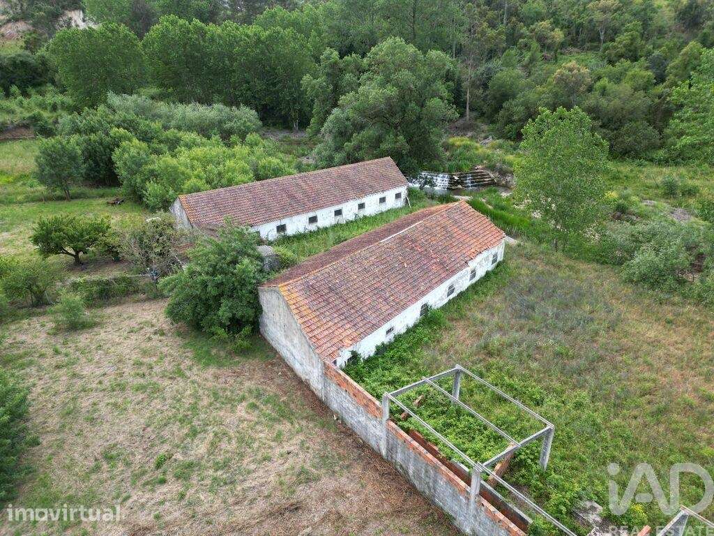 Casa / Villa em Golpilheira de 3294,00 m2 - Grande imagem: 2/28