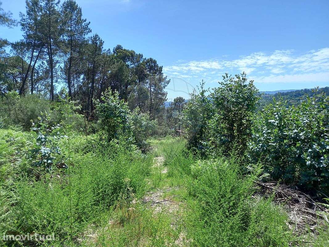 Terreno  para venda - Grande imagem: 5/7