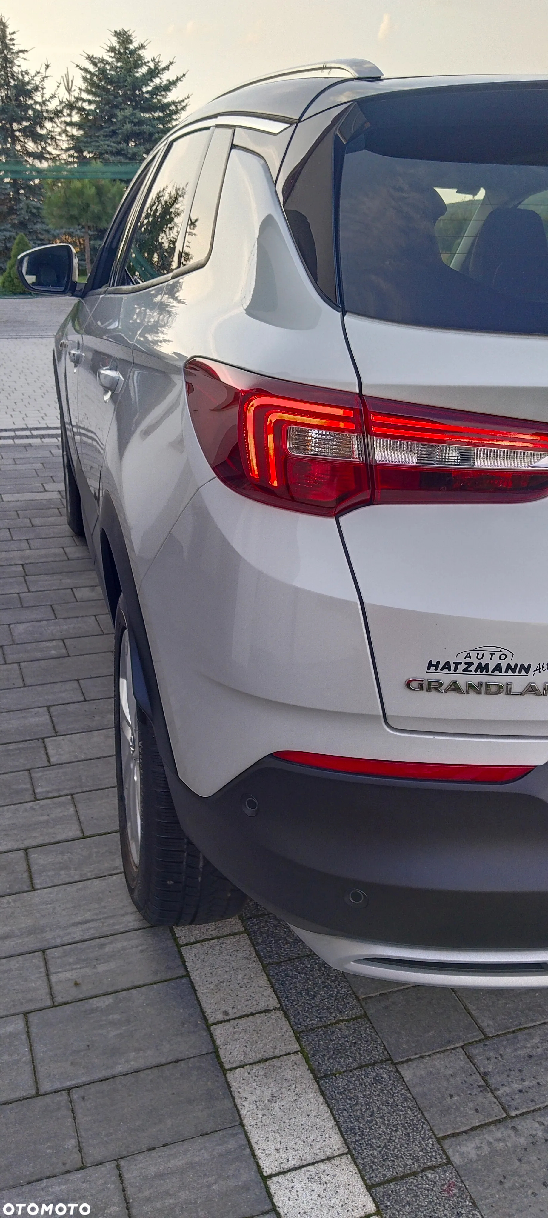 Opel Grandland X 1.6 T Ultimate S&S - 8