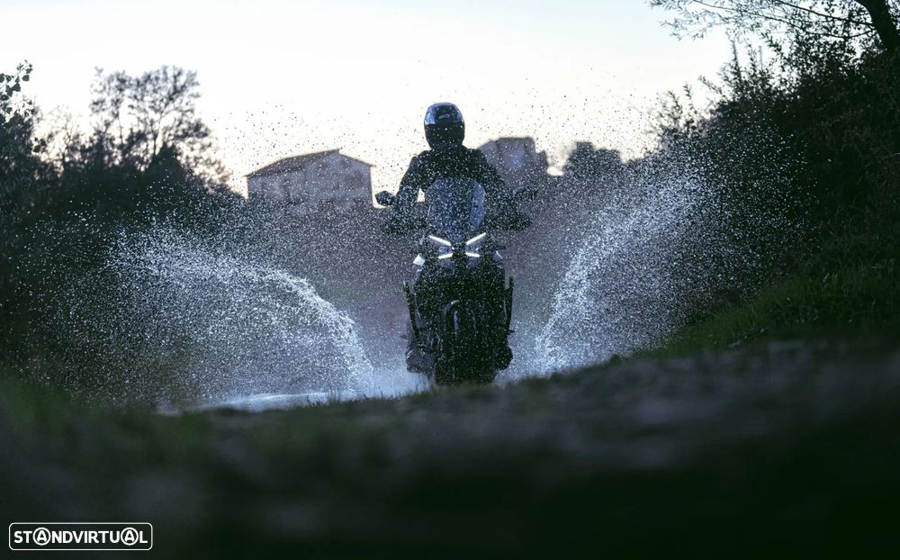 Morbidelli T1002VX - 24