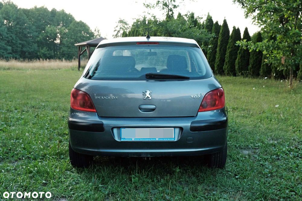Peugeot 307 - 4