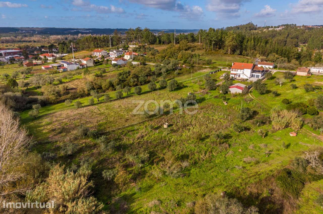 Terrenos Rústicos | Pelariga, Pombal - Grande imagem: 5/36