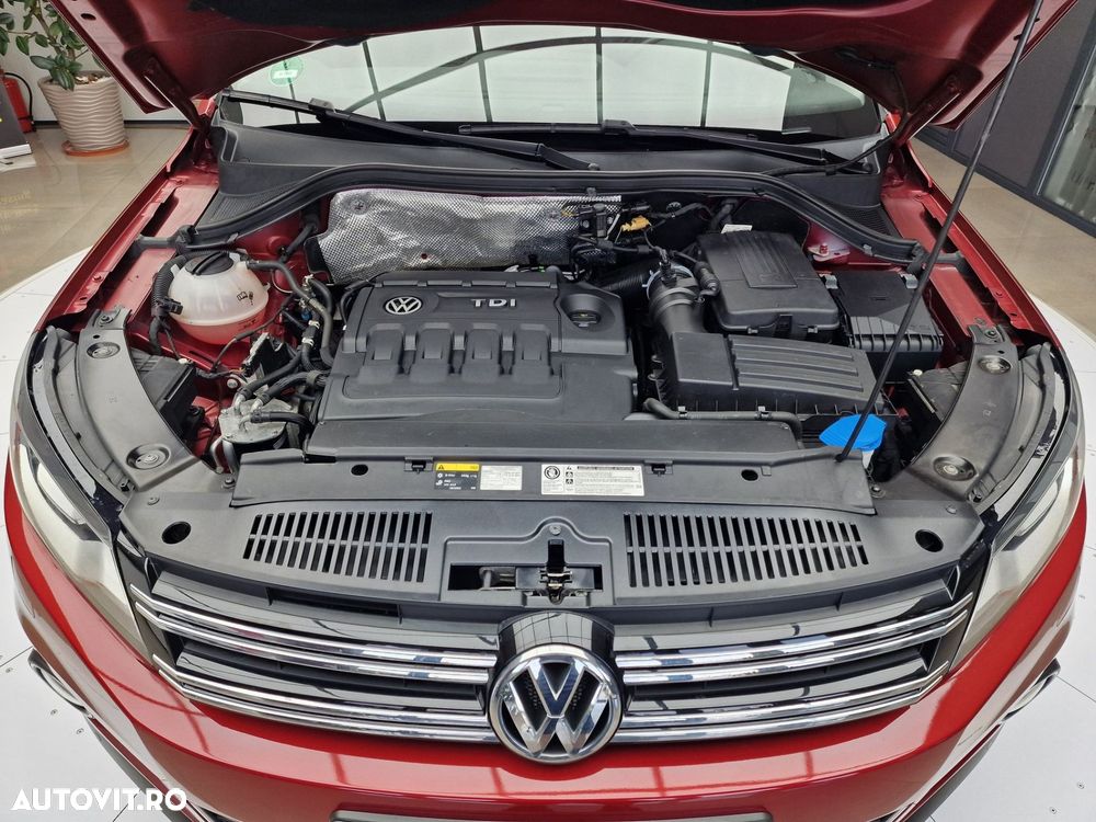 Volkswagen Tiguan - 19