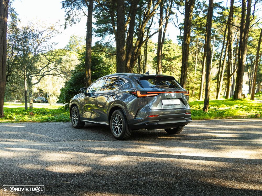 Lexus NX 350h Executive+ - 2