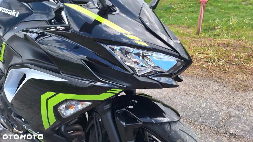 Kawasaki Ninja - 10