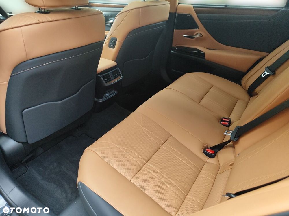 Lexus ES 300h Omotenashi - 12