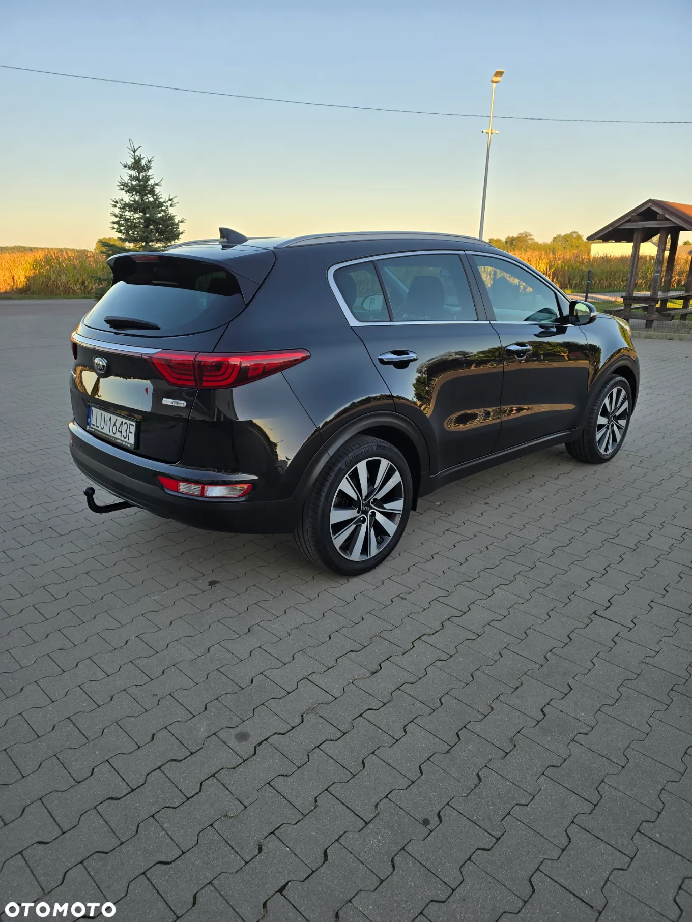 Kia Sportage 1.7 CRDI Business Line 2WD - 12