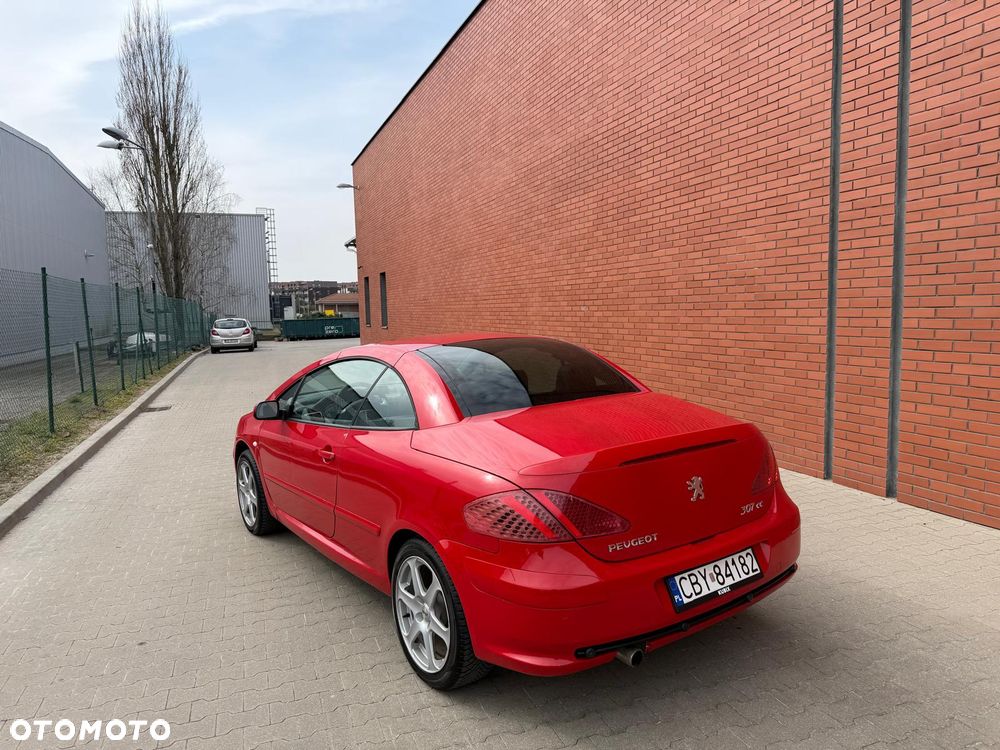 Peugeot 307 135 Sport - 6