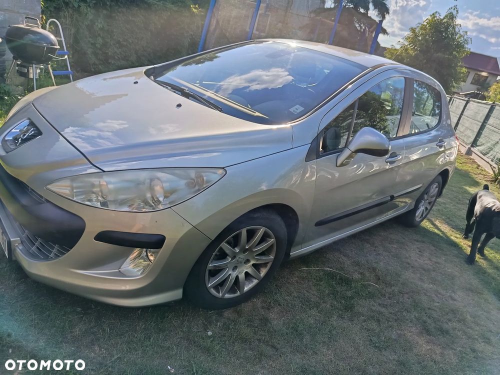 Peugeot 308 - 12