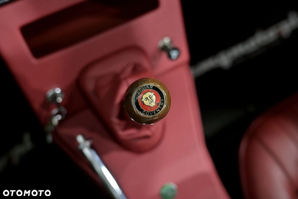 Jaguar E-Type - 29