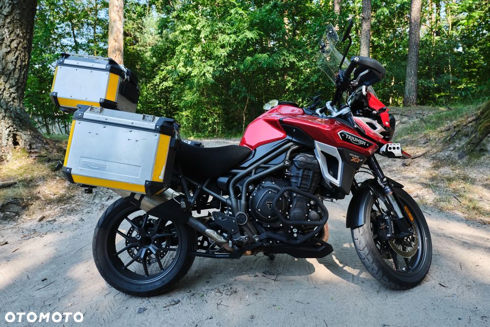 Triumph Tiger - 32