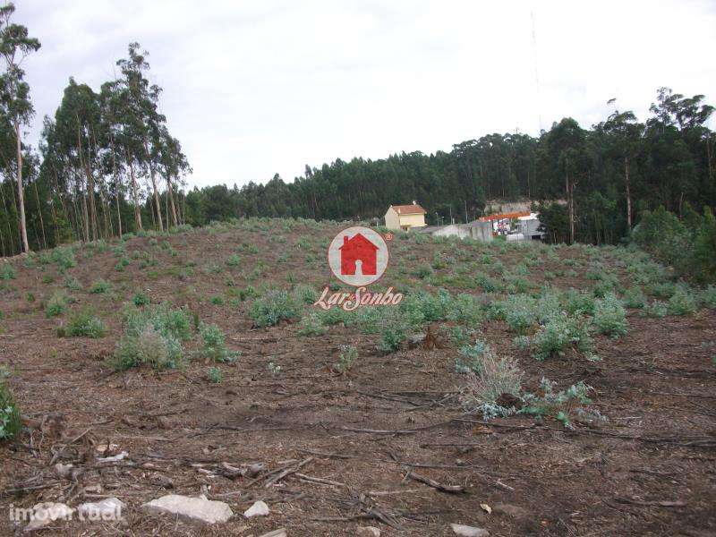 Terreno Florestal de 9.900m2 em Canidelo Vila do Conde - Grande imagem: 4/5