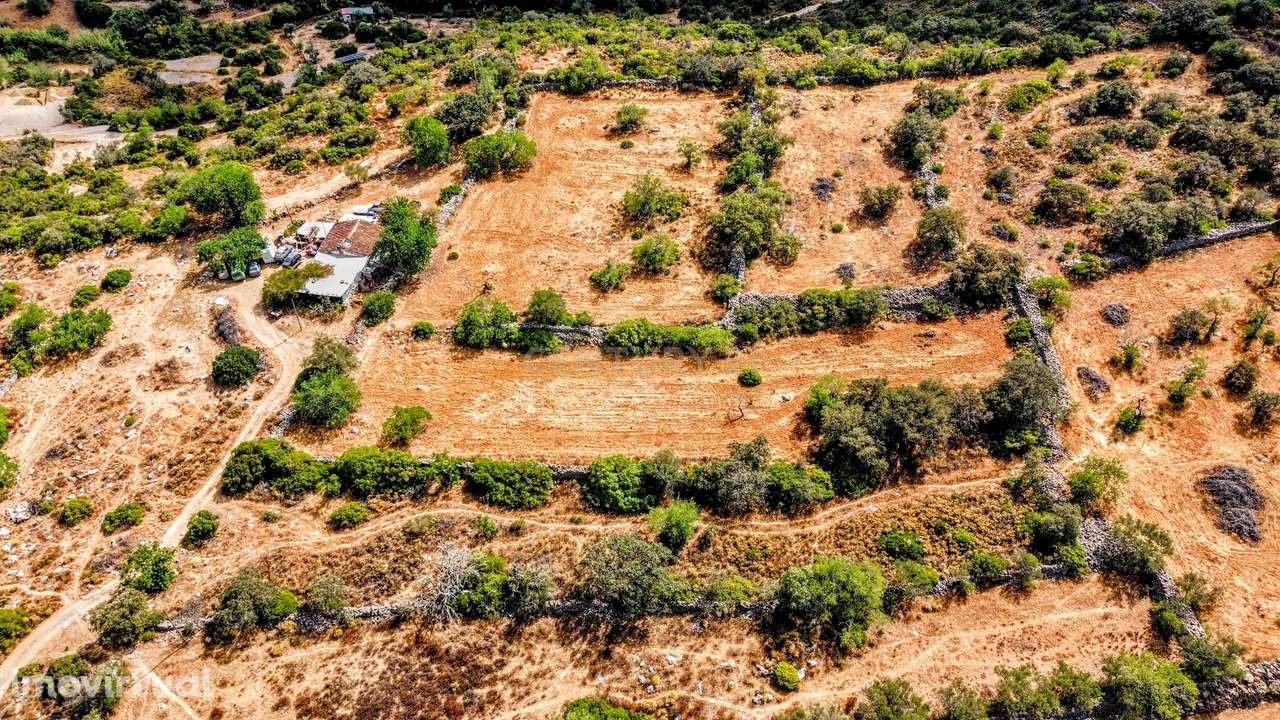 Oportunidade Única: 2 Terrenos Rústicos Próximos de São Brás de Alport - Grande imagem: 5/46