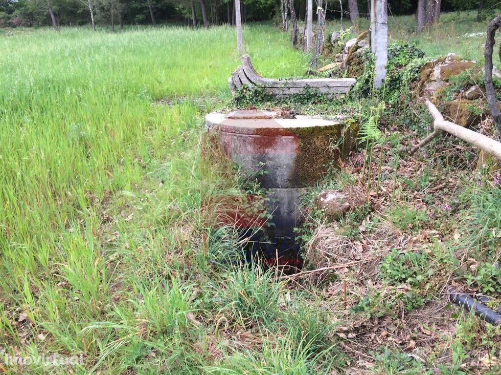 Terreno agrícola, Coucieiro - Grande imagem: 3/13