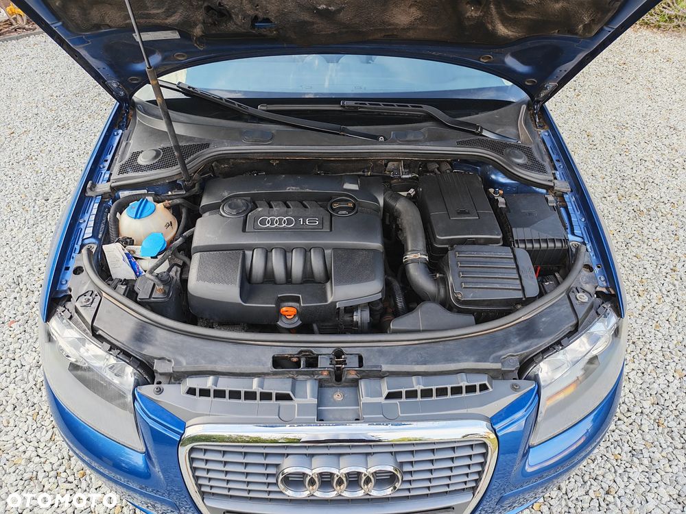 Audi A3 3-drzwiowe 1.6 Limited Edition - 20