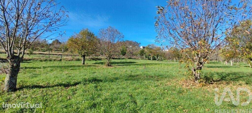 Terreno em Mões de 7026,00 m2 - Grande imagem: 2/29