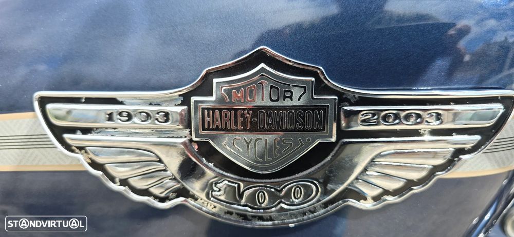 Harley-Davidson 883 100 ANOS ANNIVERSARY - 11