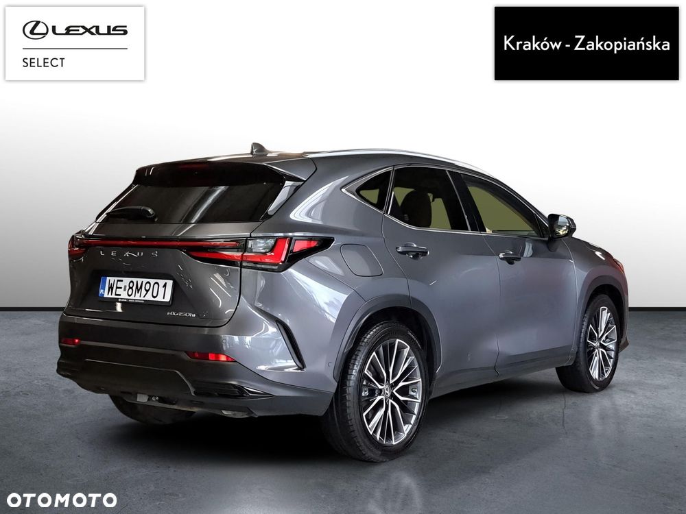 Lexus NX - 10