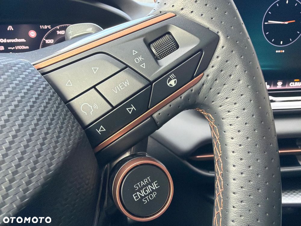 Cupra Terramar 2.0 TSI 4Drive DSG - 20