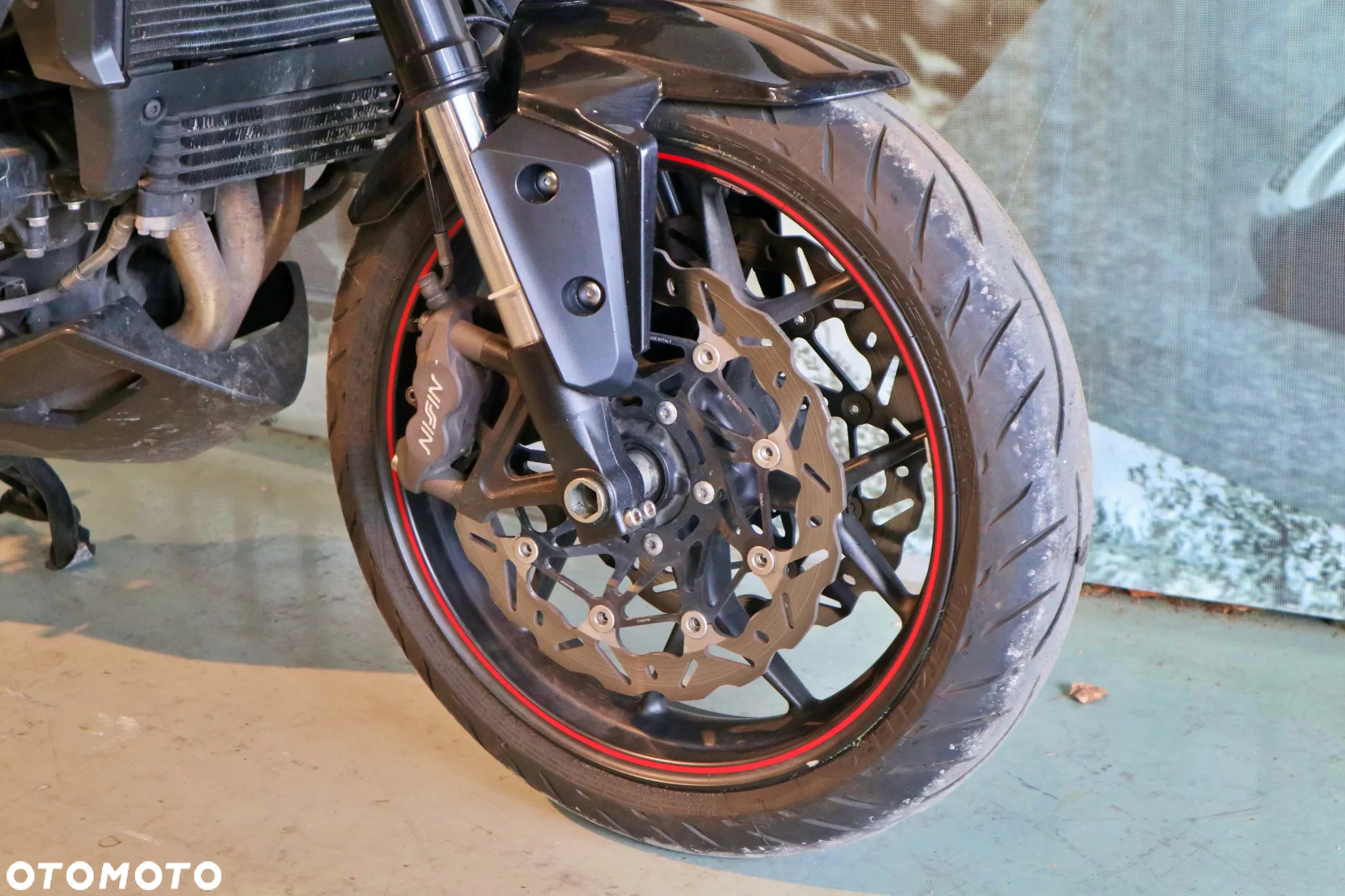 Triumph Tiger - 14