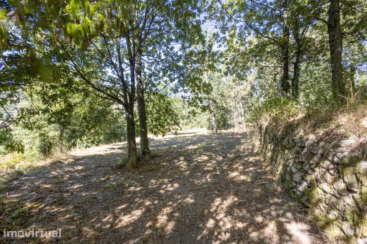 Quinta com 2 Hectares e Casa em Pedra para Recuperar em Gomide, Vila V - Grande imagem: 3/27