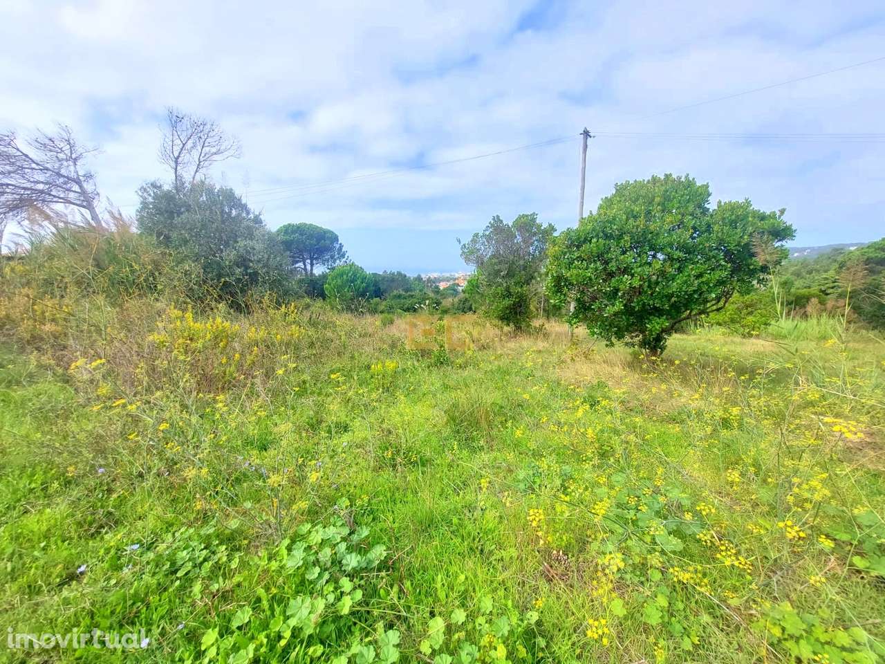 Terreno com vistas de mar- em Buarcos! - Grande imagem: 2/9
