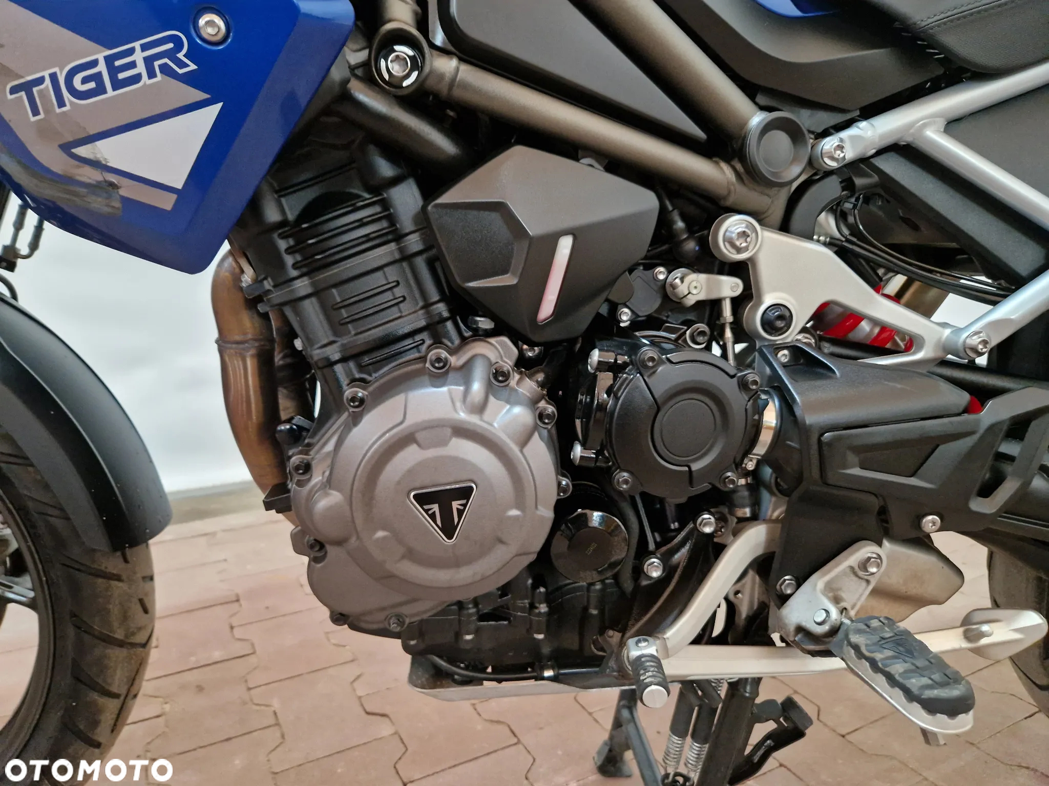 Triumph Tiger - 23