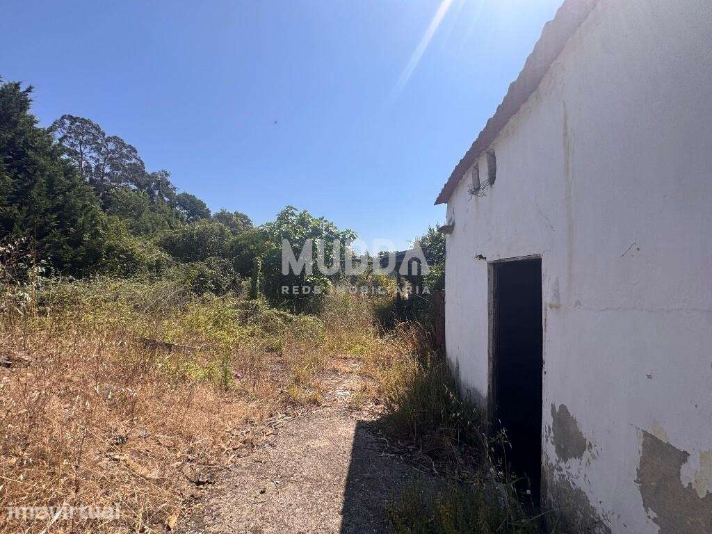 Moradia para Recuperar com Terrenos – São João de Ovar - Grande imagem: 3/12