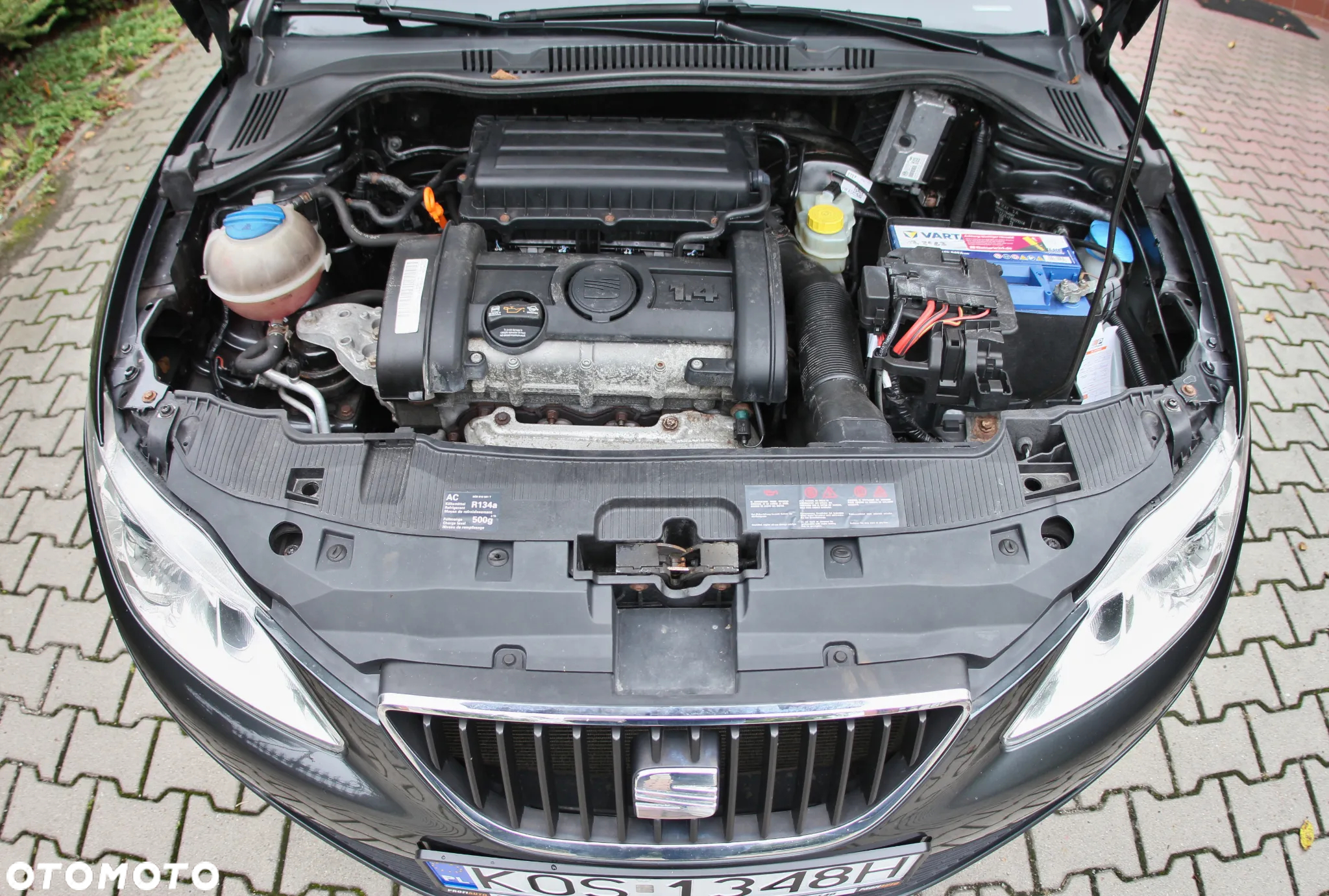 Seat Ibiza - 37