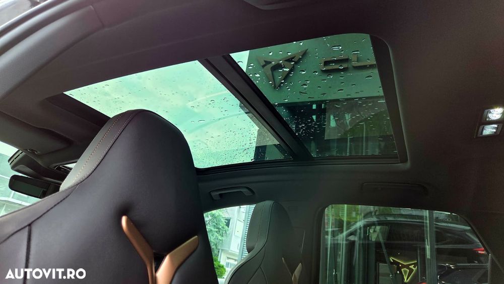 Cupra Terramar - 19