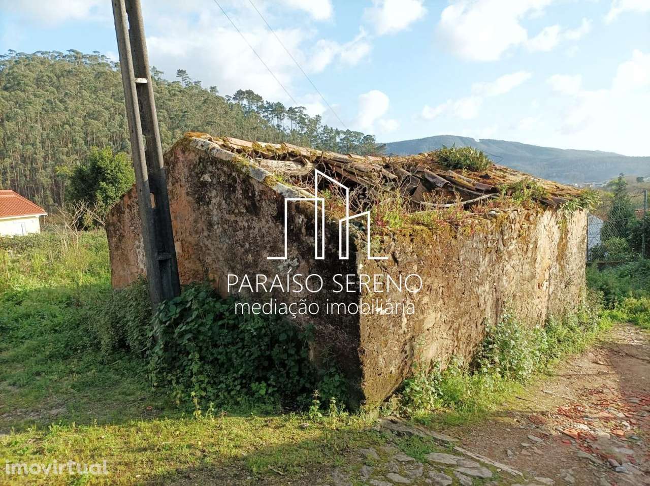 Moradia p/ restauro em Ossela - Grande imagem: 4/6