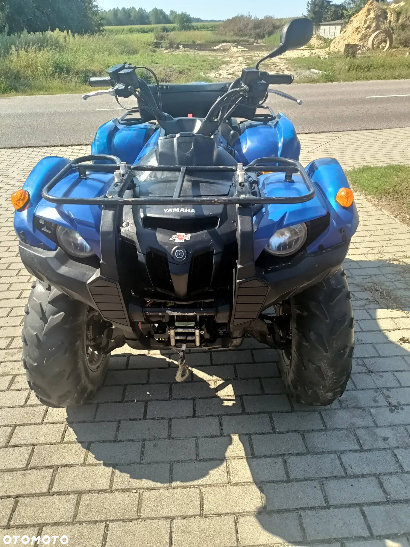 Yamaha Grizzly - 12