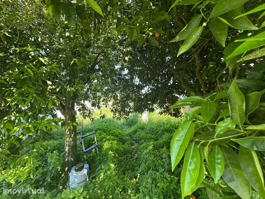 Moradia tipologia T2 - Grande imagem: 2/21