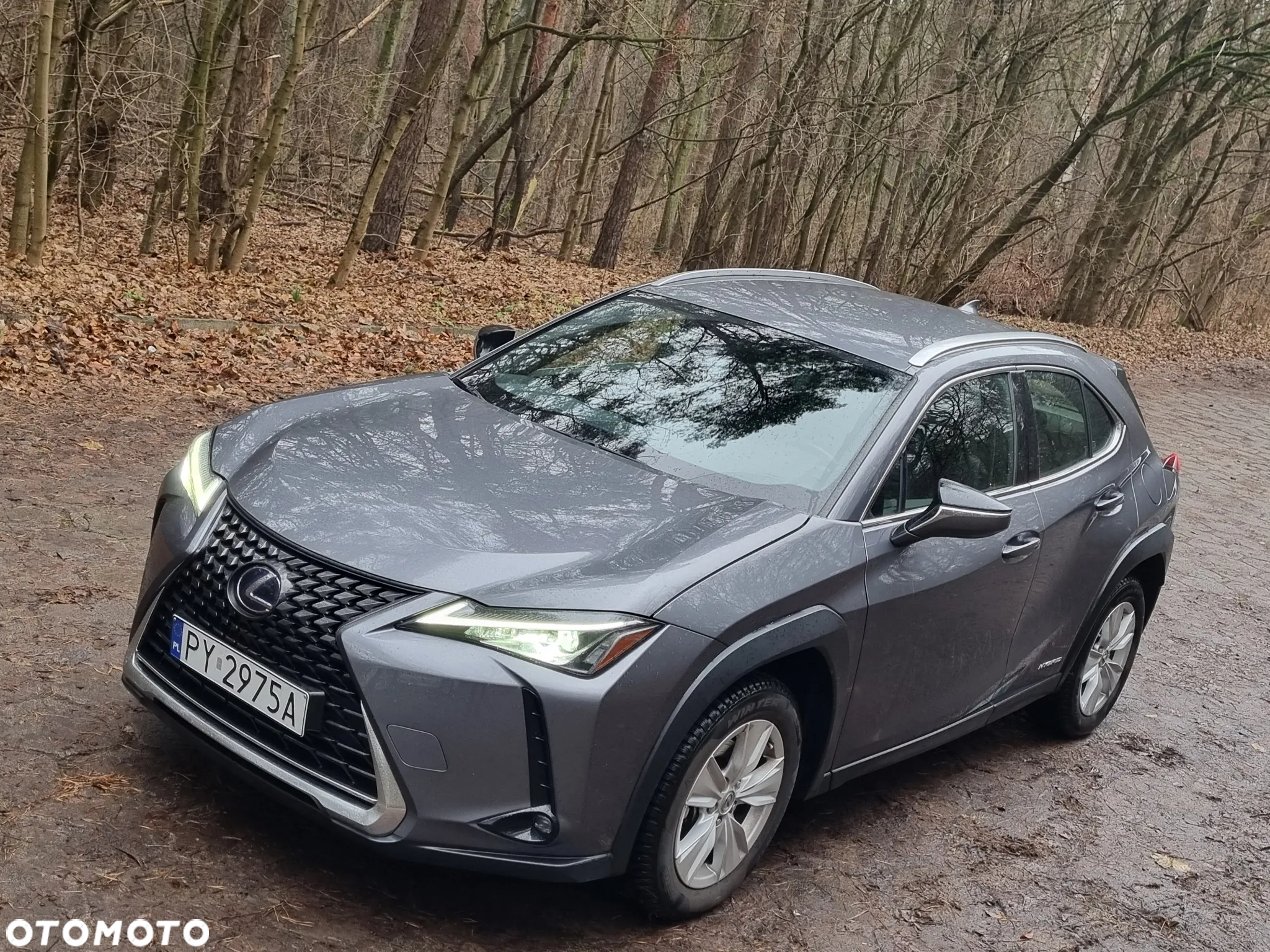 Lexus UX - 12