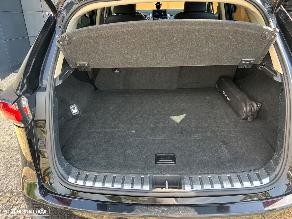 Lexus NX 300h Executive - 9