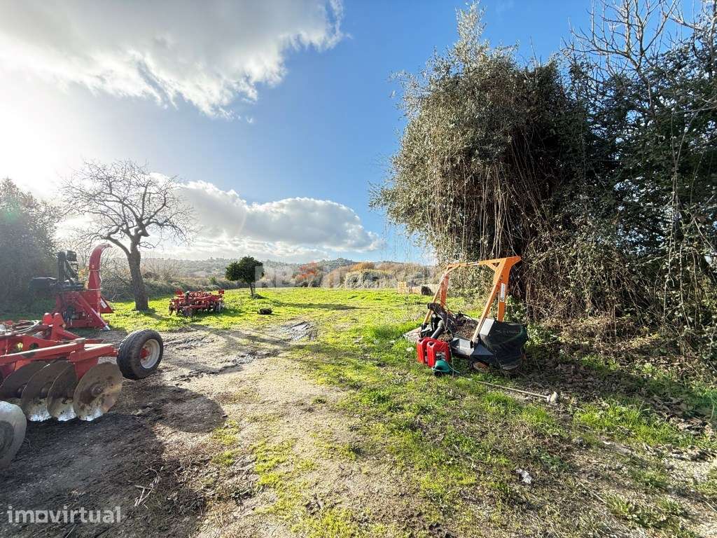 Propriedade com 14 840 m2 c/ Moradia p/ recuperar - Abrantes - Grande imagem: 2/9