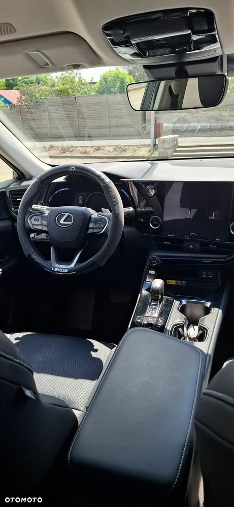 Lexus NX - 6