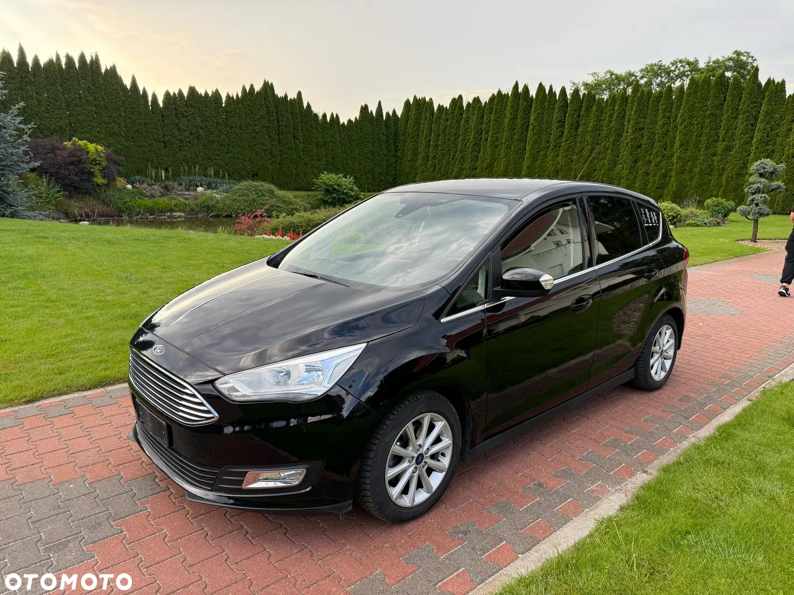 Ford C-MAX 1.5 TDCi Start-Stop-System Titanium - 7