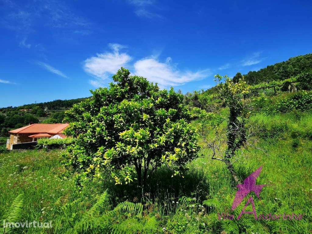 Terreno para construção com vista desafogada e óptima disposição solar - Grande imagem: 5/10