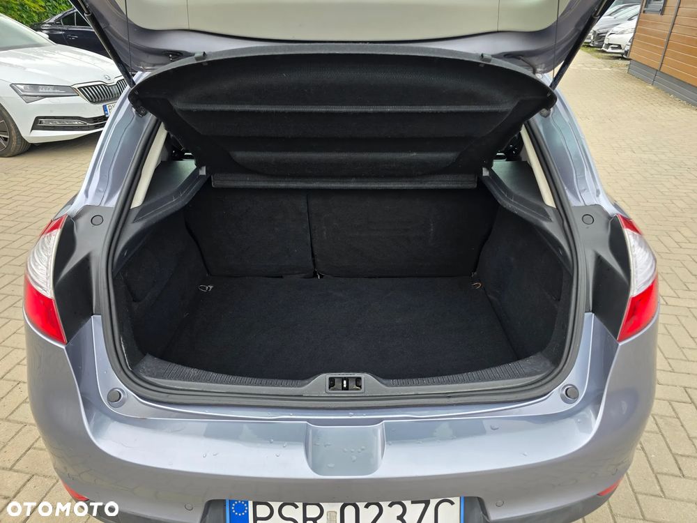 Renault Megane - 19